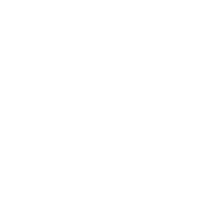 logo-img-white
