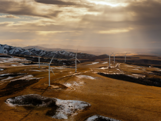 wind turbines in grass
