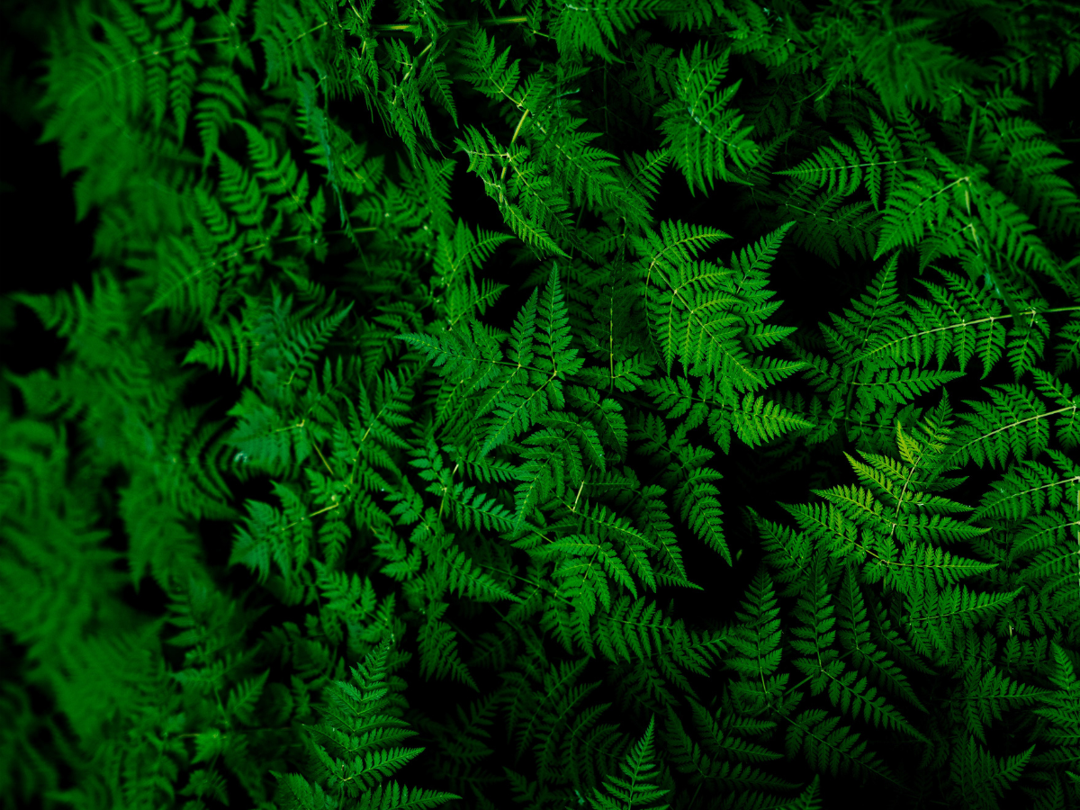 image-for-printing
