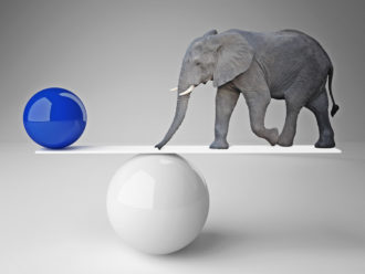 elephant scale db