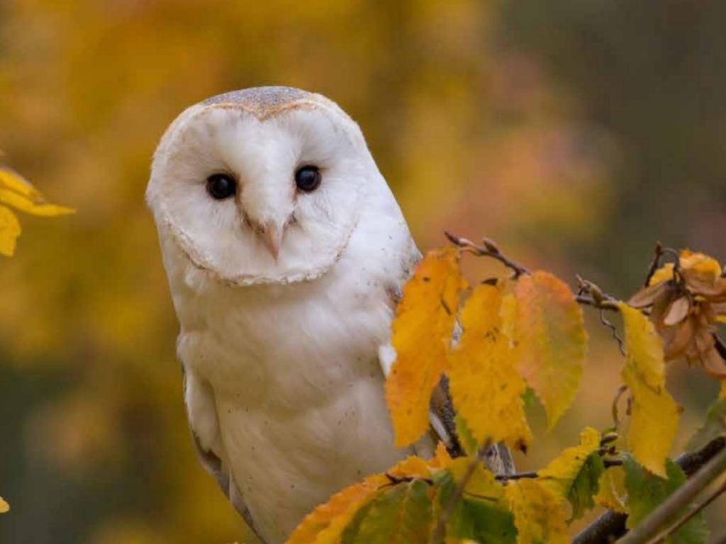 Legal & General Investment Management (LGIM) Q3 2023 ESG impact